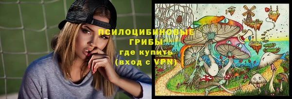 винт Аркадак